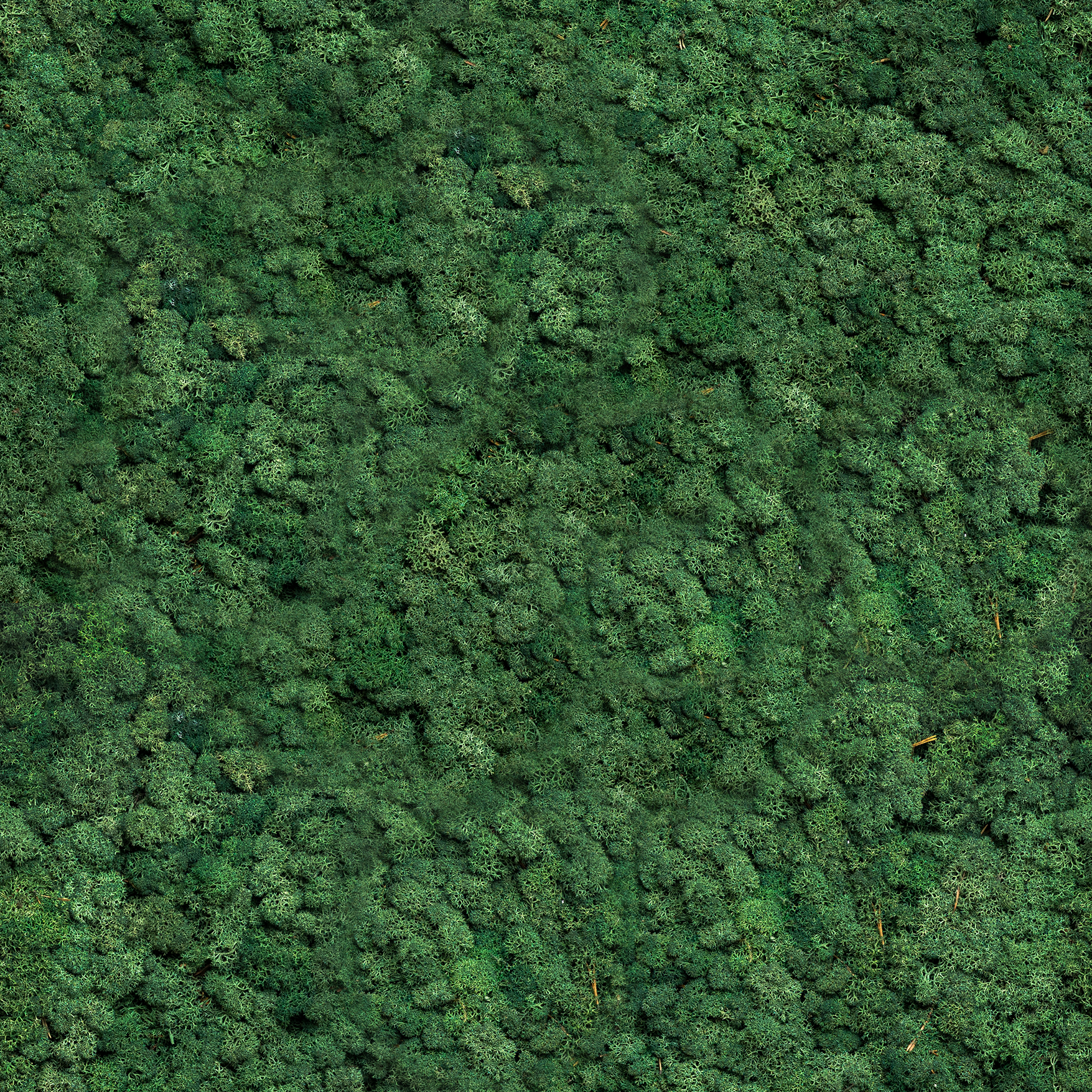 Moss-Green-pattern-infinity