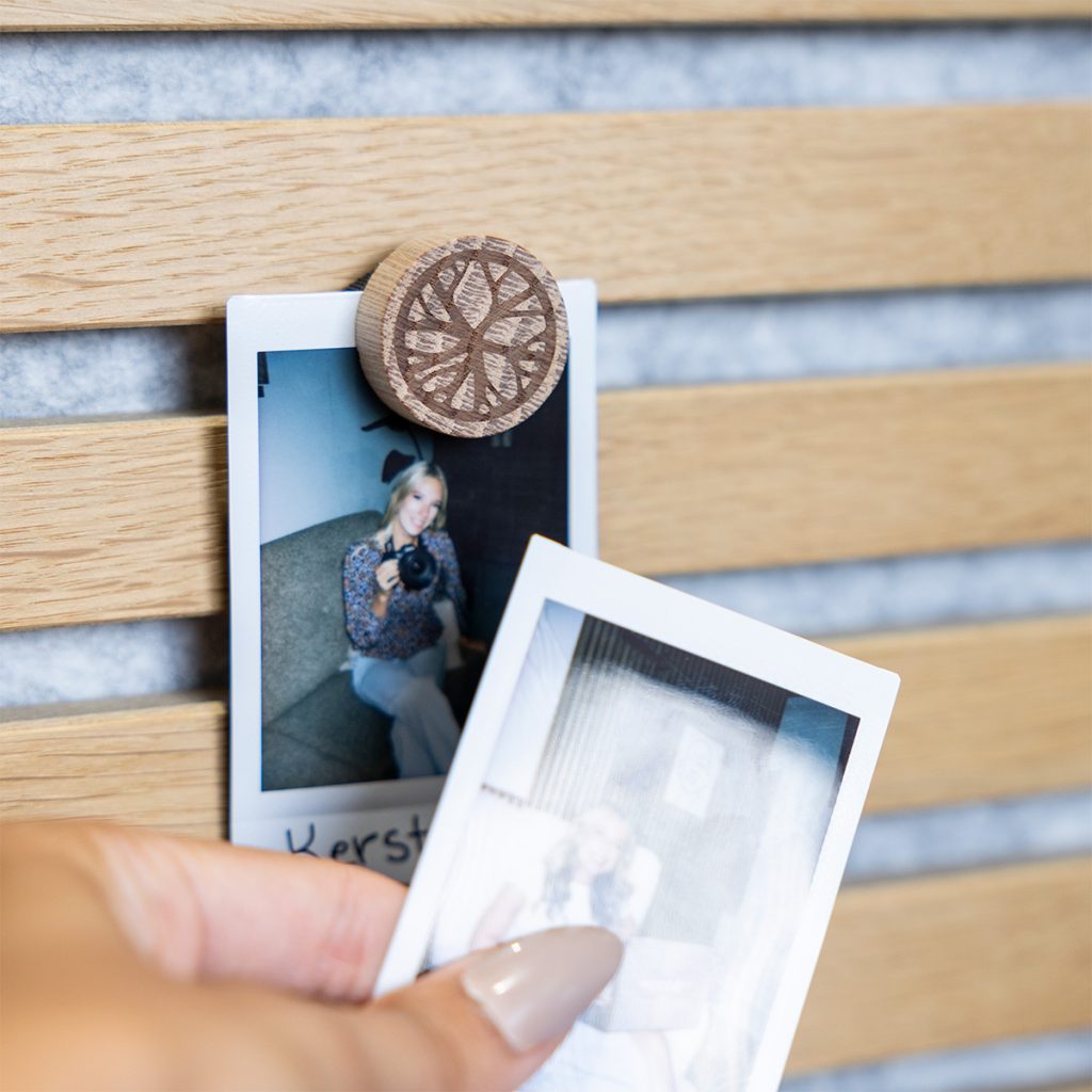 Image 1 de 7 dans la galerie Aimants