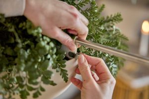 Image du produit Akupanel - voir 1